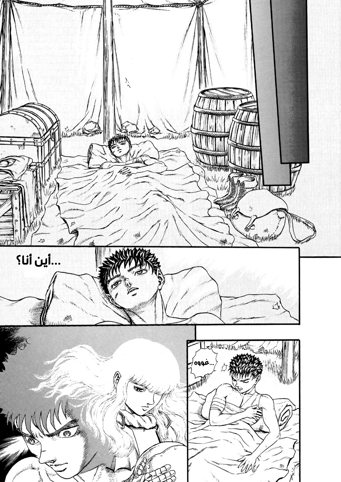 Read Berserk AR Manga Online