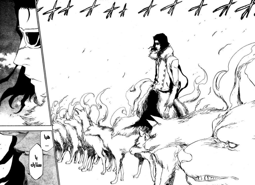Read Bleach AR Manga Online