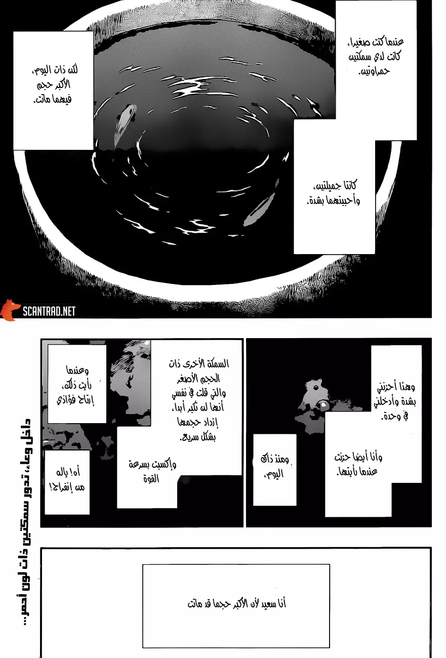 Read Bleach AR Manga Online