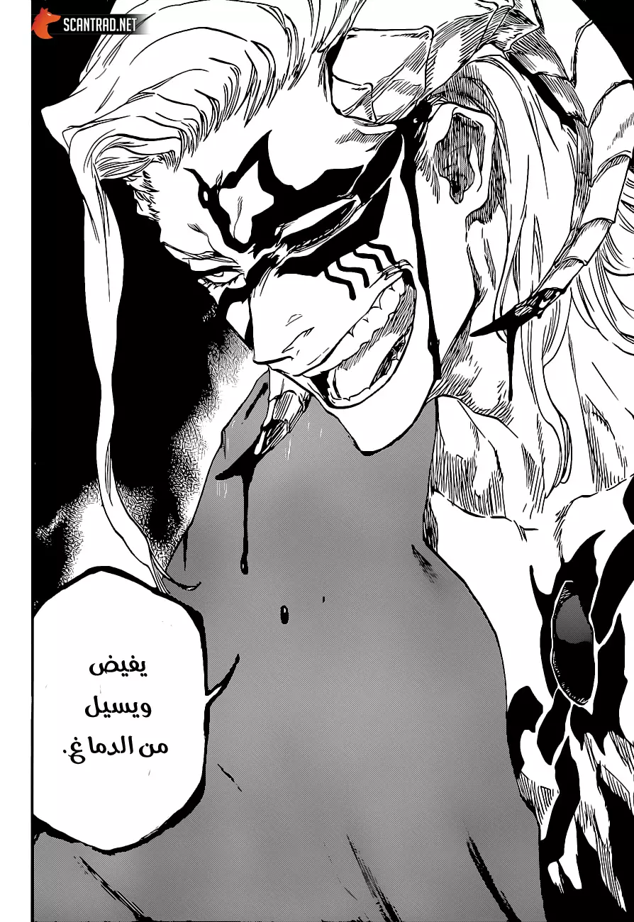 Read Bleach AR Manga Online