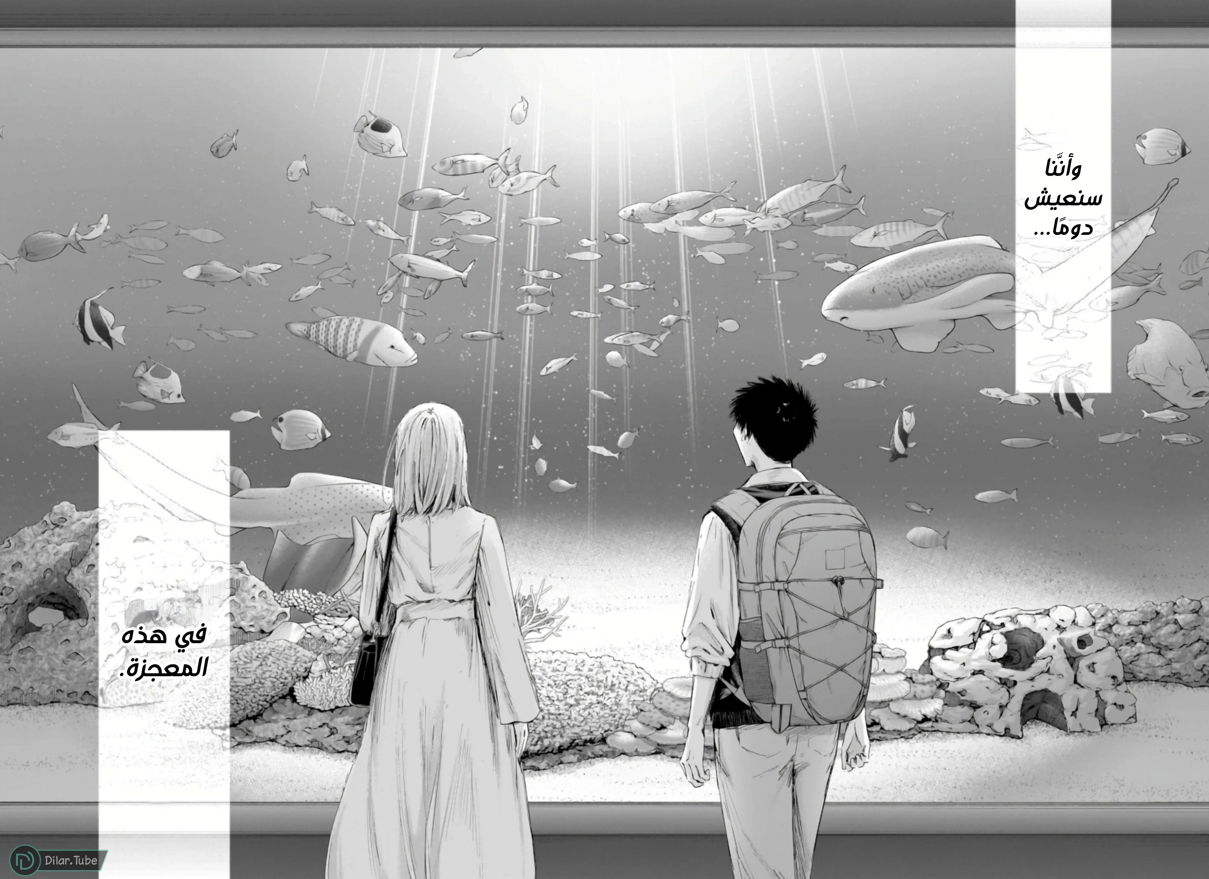 Read Blue Box AR Manga Online