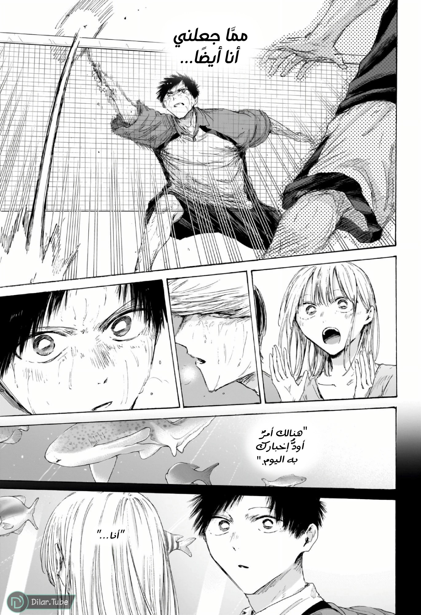 Read Blue Box AR Manga Online