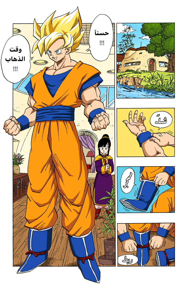 Read Dragon Ball AR Manga Online