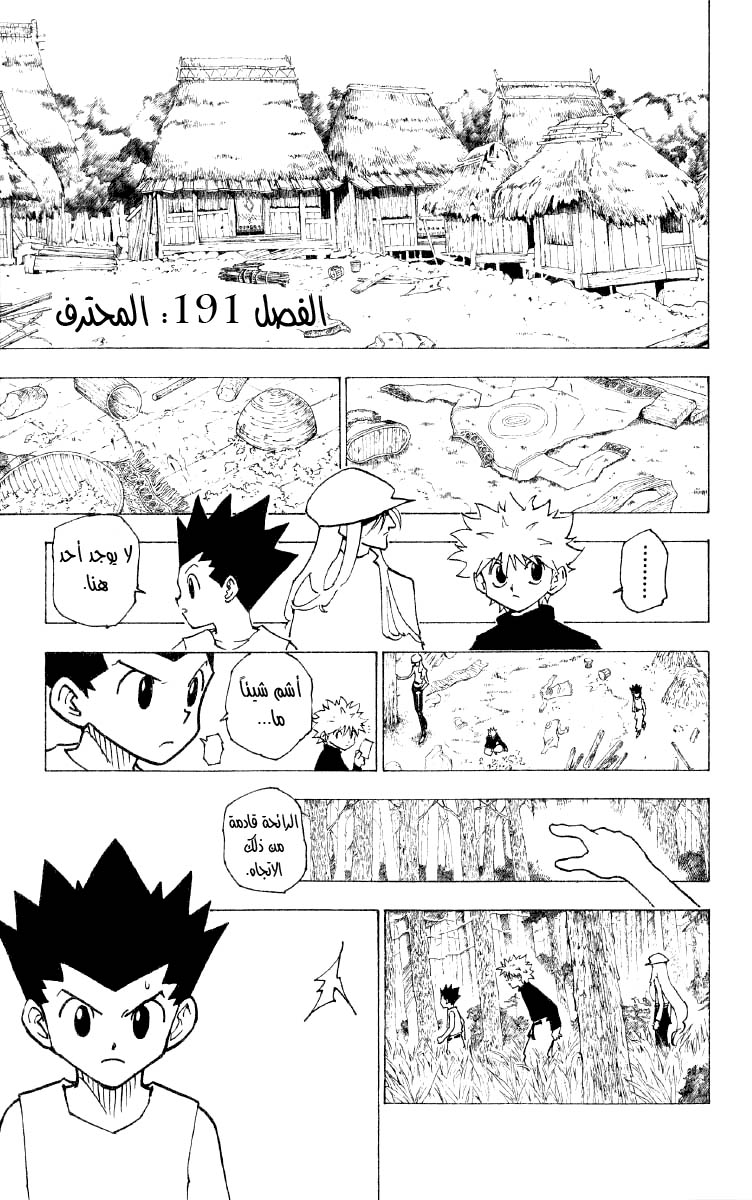 Read Hunter x Hunter AR Manga Online