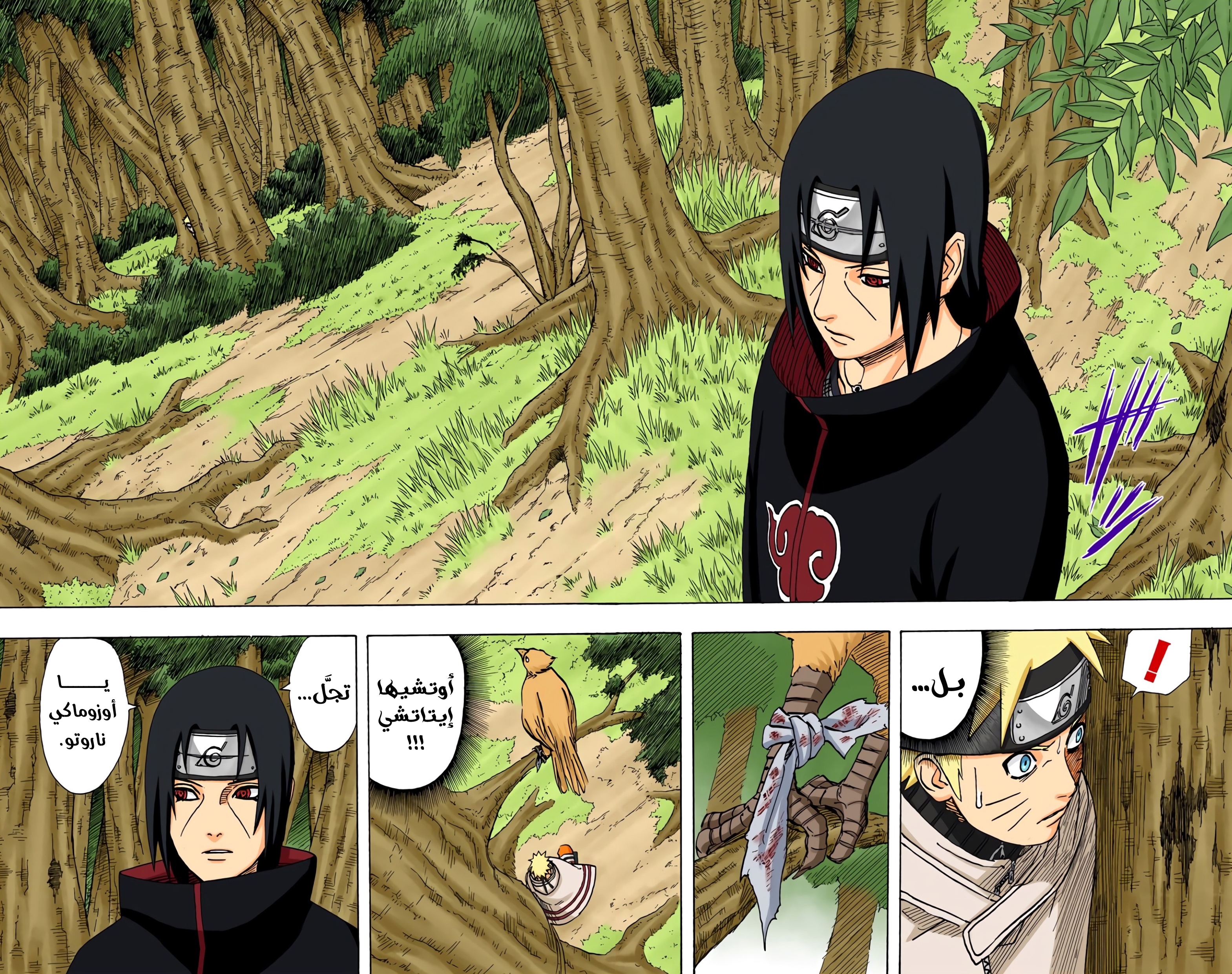 Read Naruto AR Manga Online