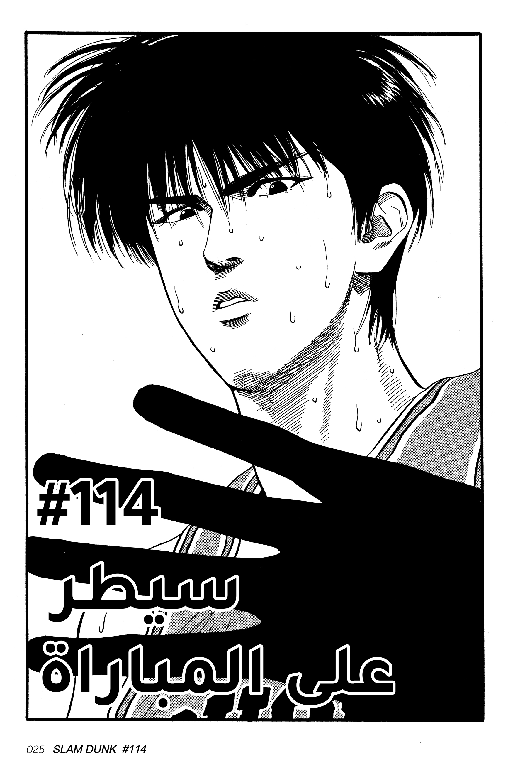 Read Slam Dunk AR Manga Online