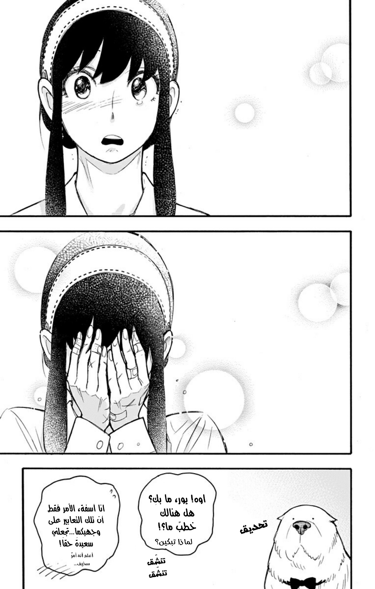 Read Spy x Family AR Manga Online