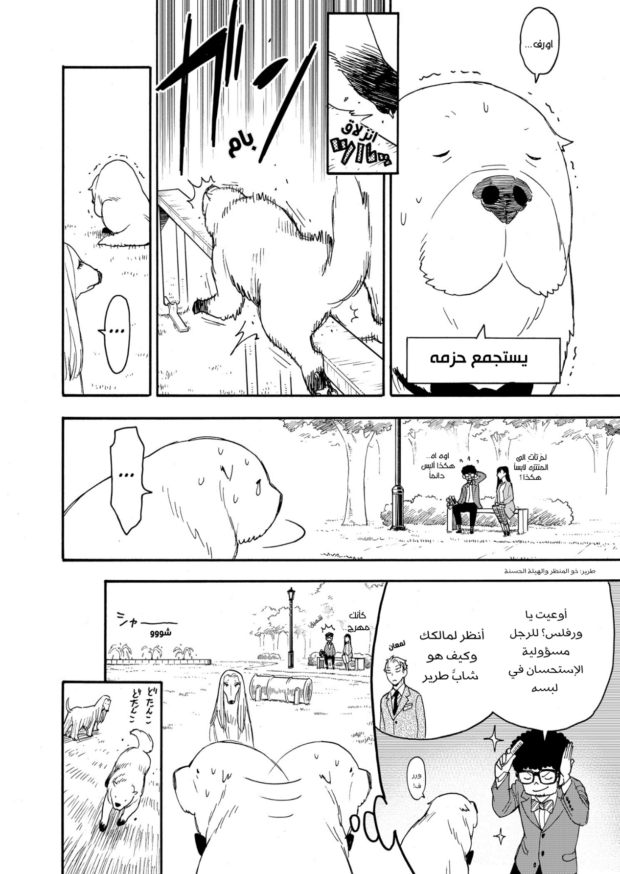 Read Spy x Family AR Manga Online