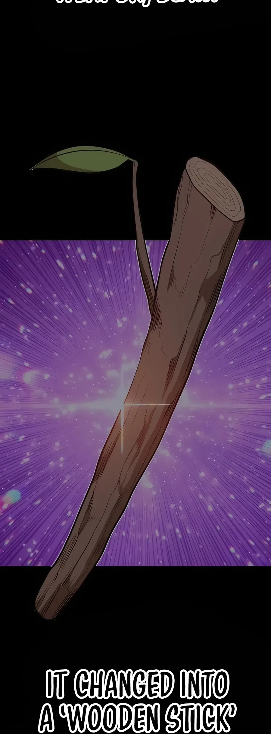 Read +99 Reinforced Wooden Stick Manga Online