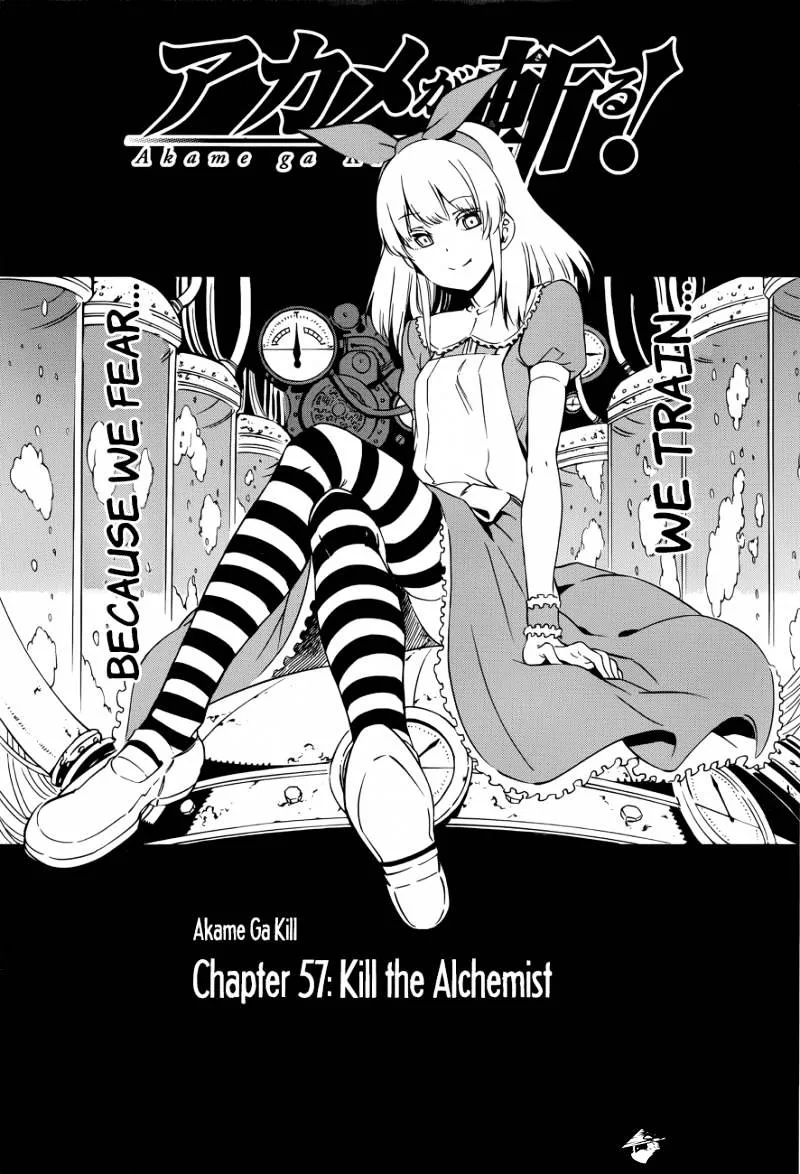 Read Akame Ga Kill! Manga Online
