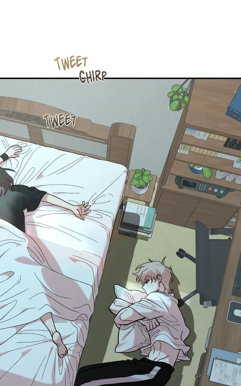Read Childhood Friend Complex Manga Online