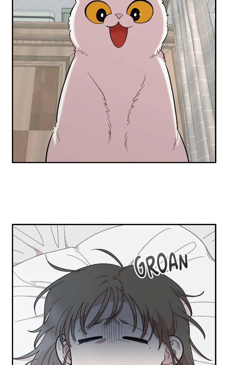 Read Childhood Friend Complex Manga Online