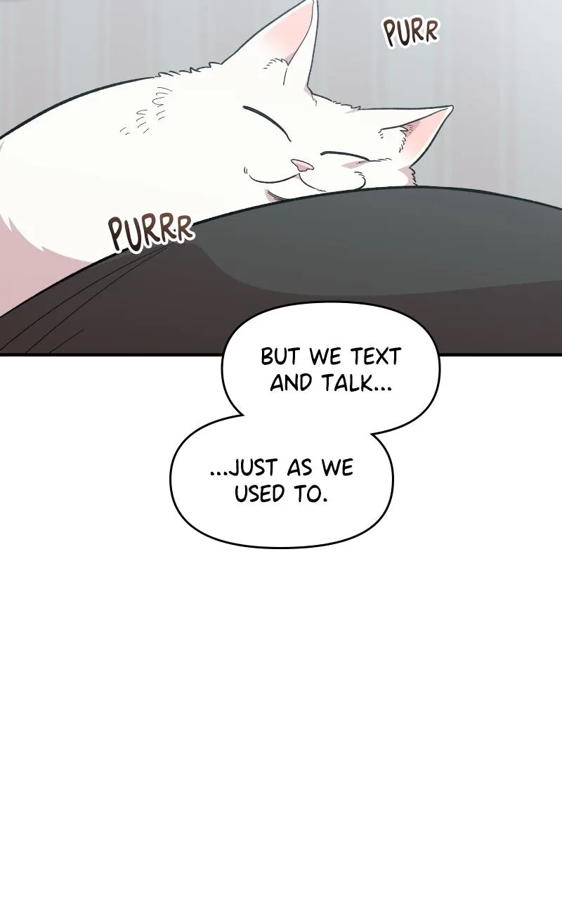 Read Childhood Friend Complex Manga Online