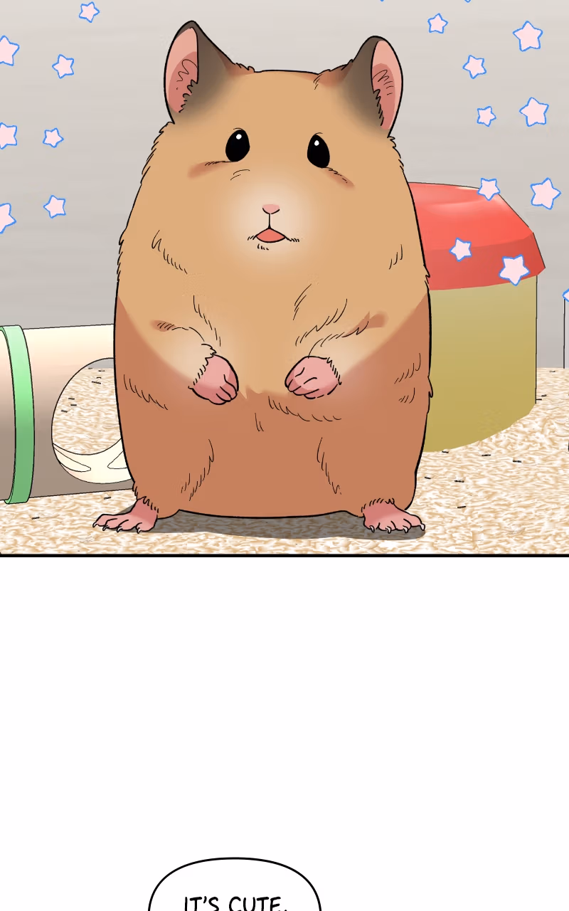 Read Childhood Friend Complex Manga Online