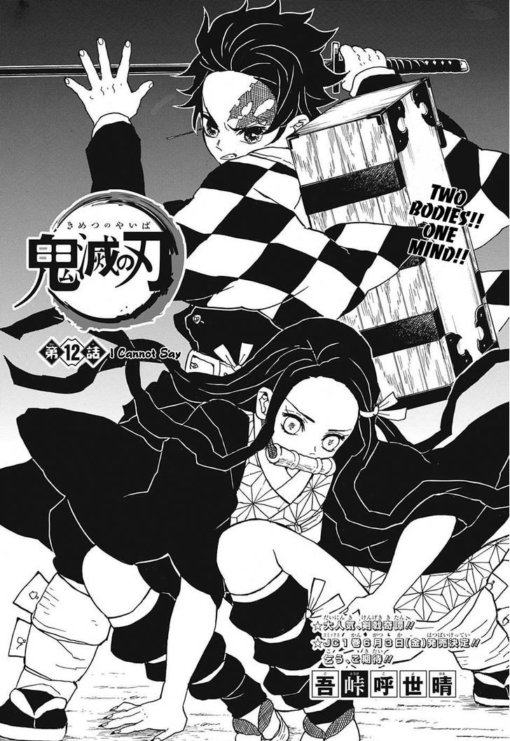 Read Demon Slayer  Kimetsu no Yaiba Manga Online