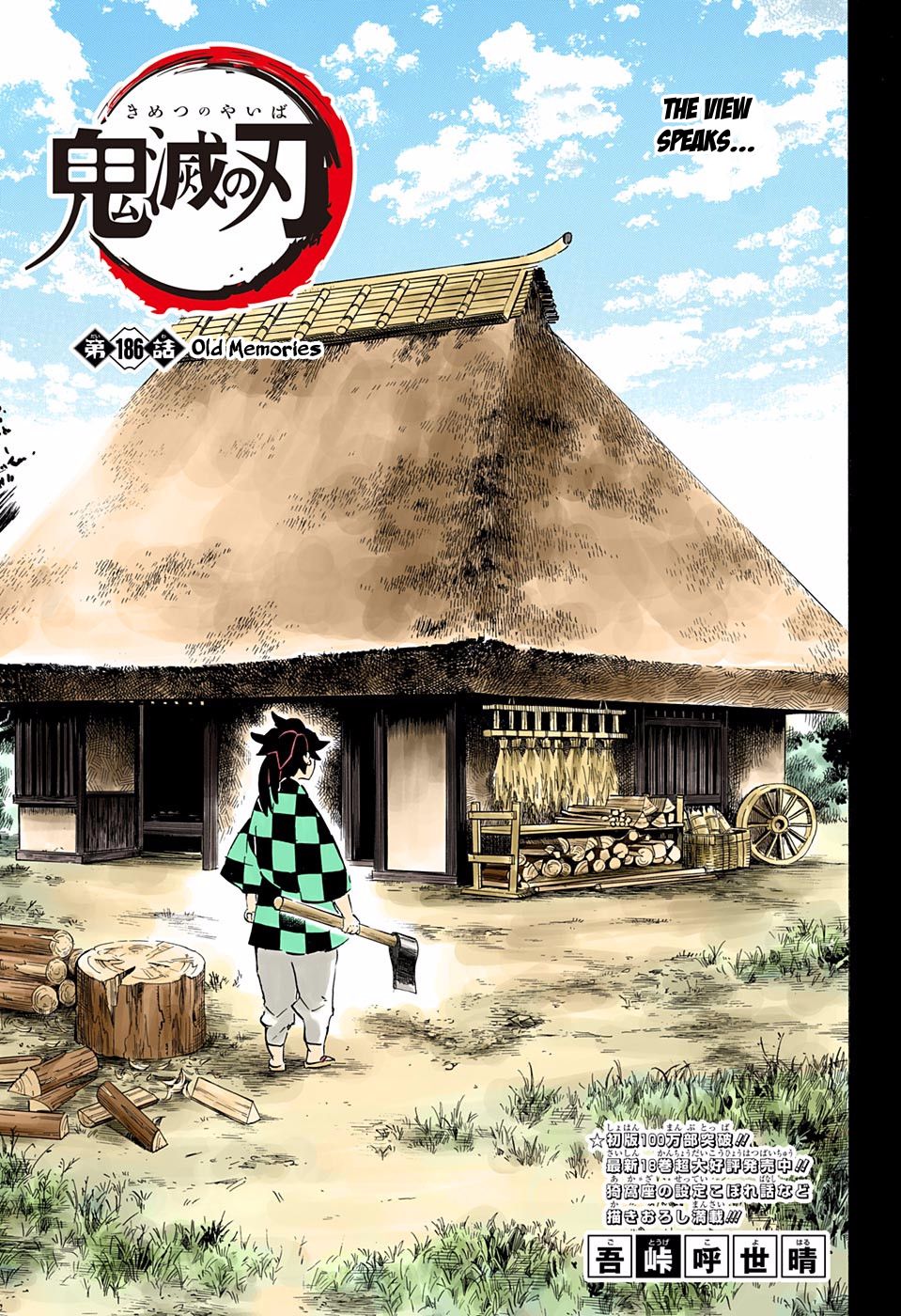 Read Demon Slayer  Kimetsu no Yaiba Manga Online