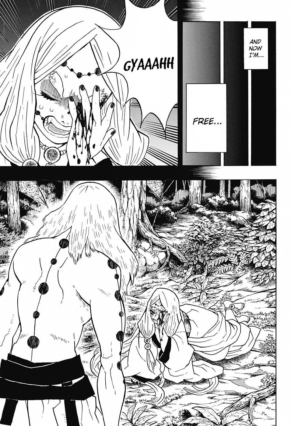 Read Demon Slayer  Kimetsu no Yaiba Manga Online