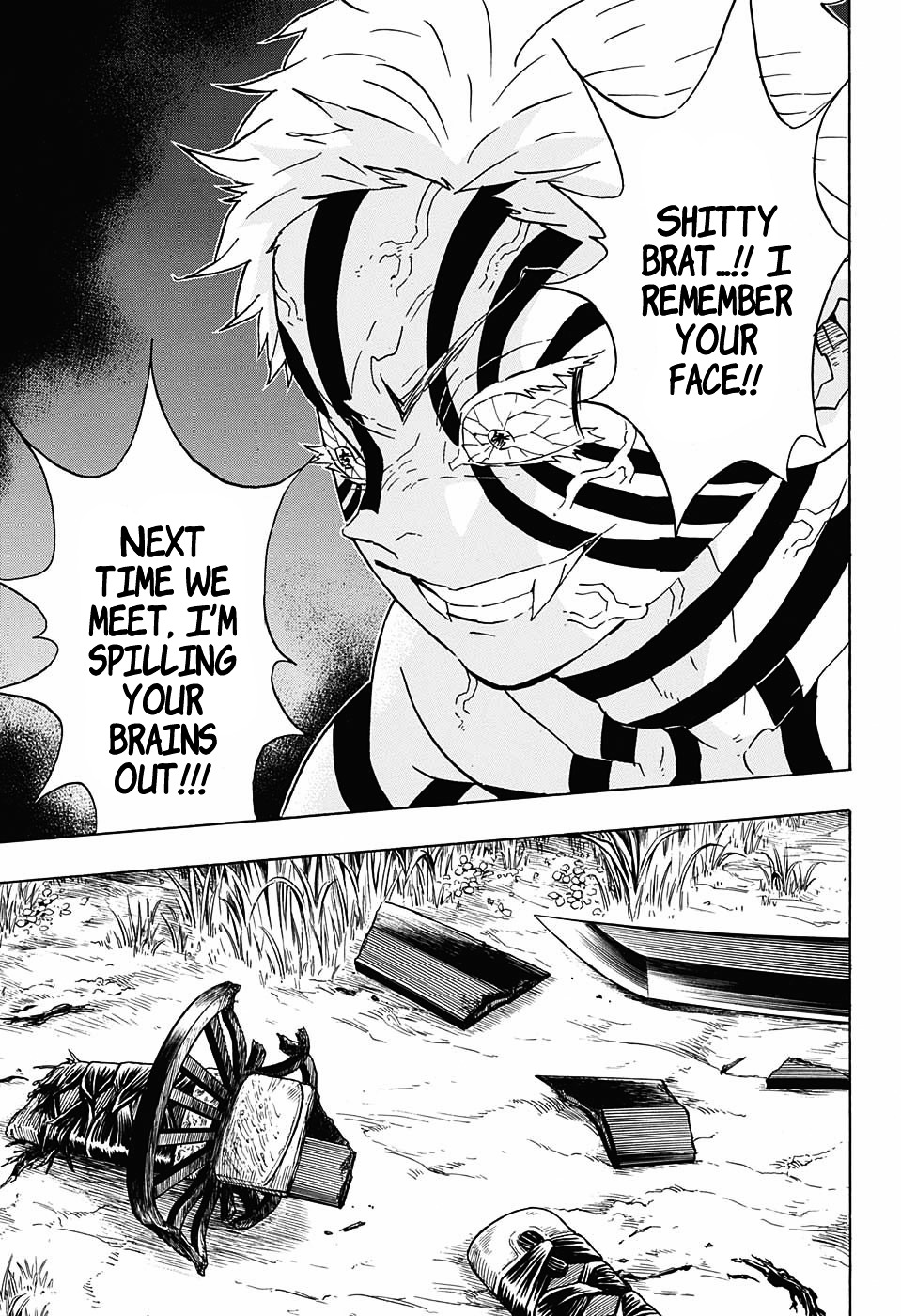 Read Demon Slayer  Kimetsu no Yaiba Manga Online