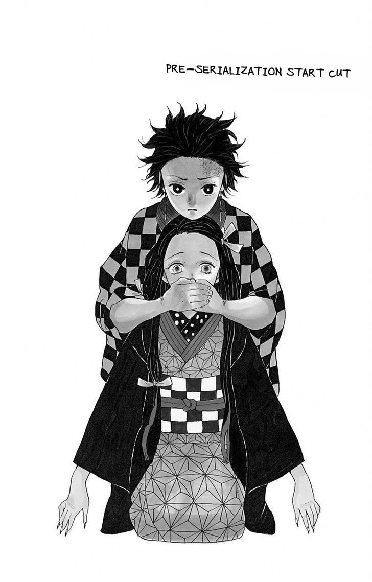 Read Demon Slayer  Kimetsu no Yaiba Manga Online