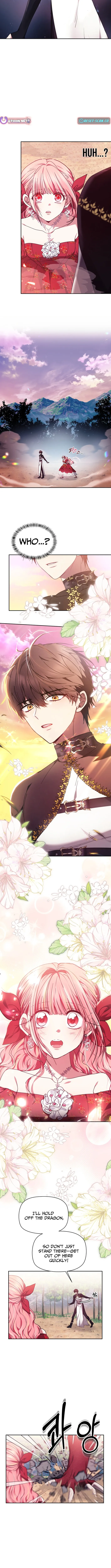 Read Mighty Macaron Wants To Be Meek Manga Online
