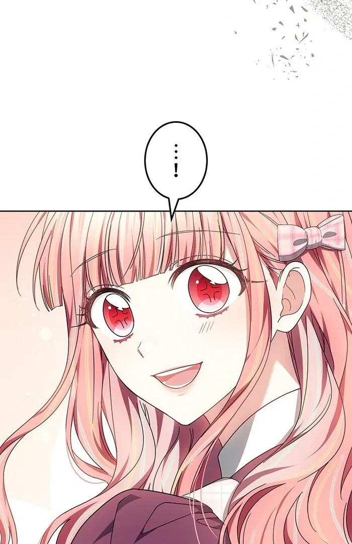 Read Mighty Macaron Wants To Be Meek Manga Online