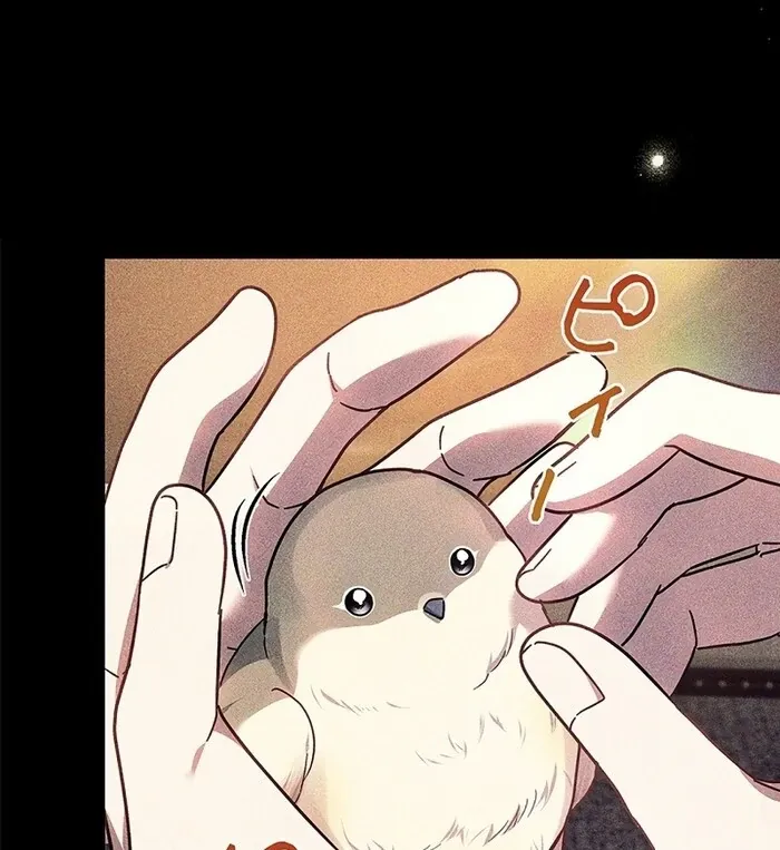 Read Mighty Macaron Wants To Be Meek Manga Online
