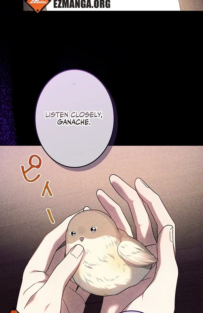 Read Mighty Macaron Wants To Be Meek Manga Online