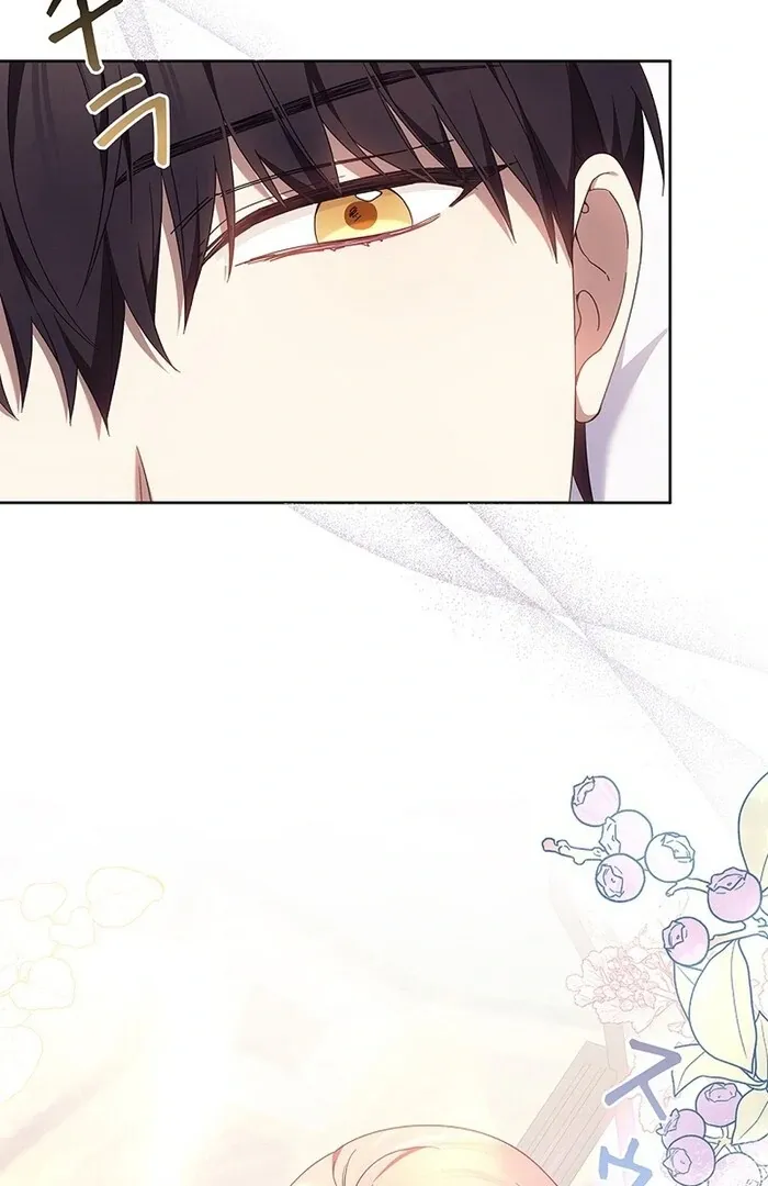 Read Mighty Macaron Wants To Be Meek Manga Online