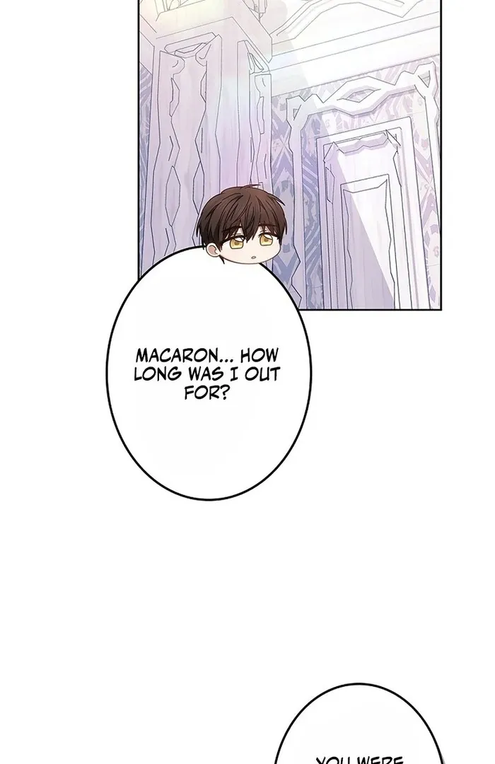 Read Mighty Macaron Wants To Be Meek Manga Online