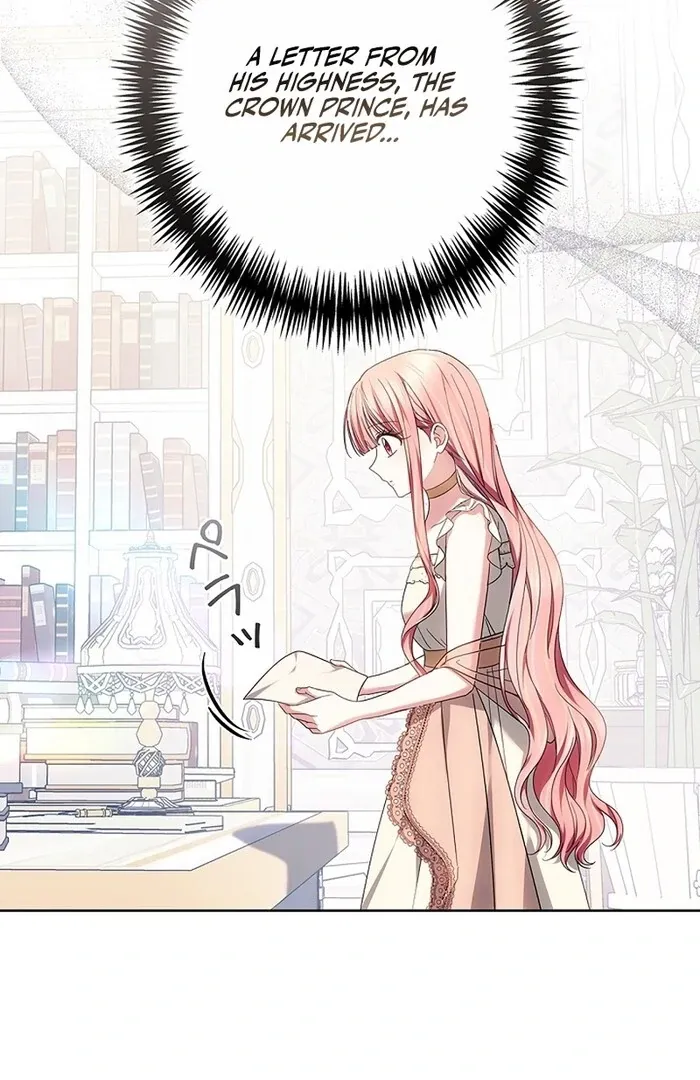 Read Mighty Macaron Wants To Be Meek Manga Online