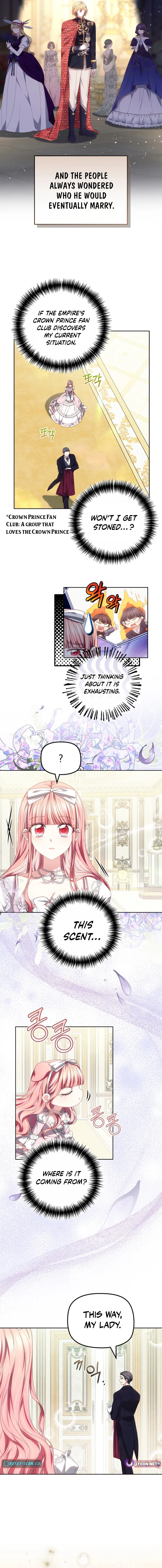 Read Mighty Macaron Wants To Be Meek Manga Online