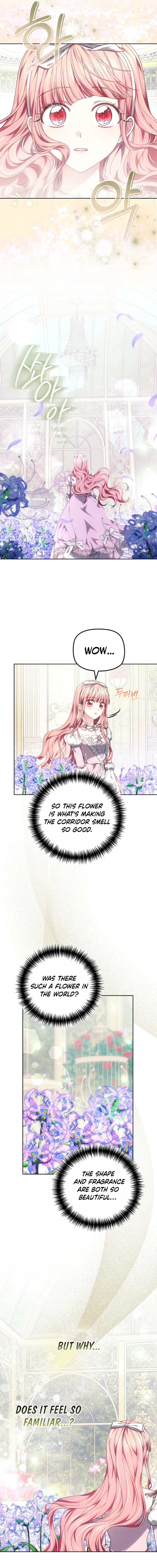 Read Mighty Macaron Wants To Be Meek Manga Online