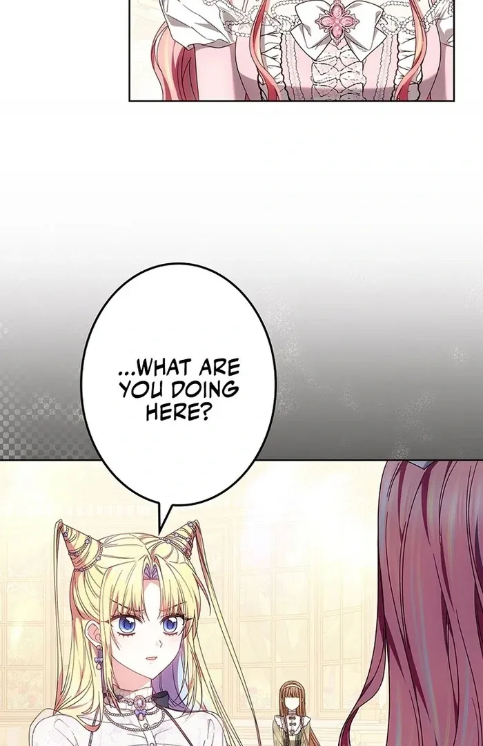 Read Mighty Macaron Wants To Be Meek Manga Online