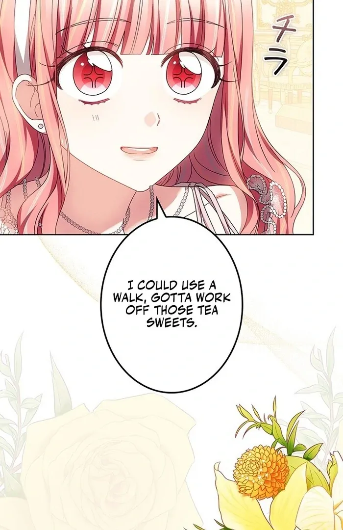 Read Mighty Macaron Wants To Be Meek Manga Online