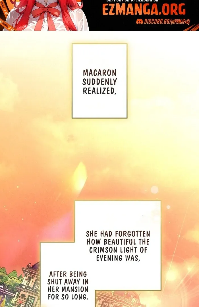 Read Mighty Macaron Wants To Be Meek Manga Online