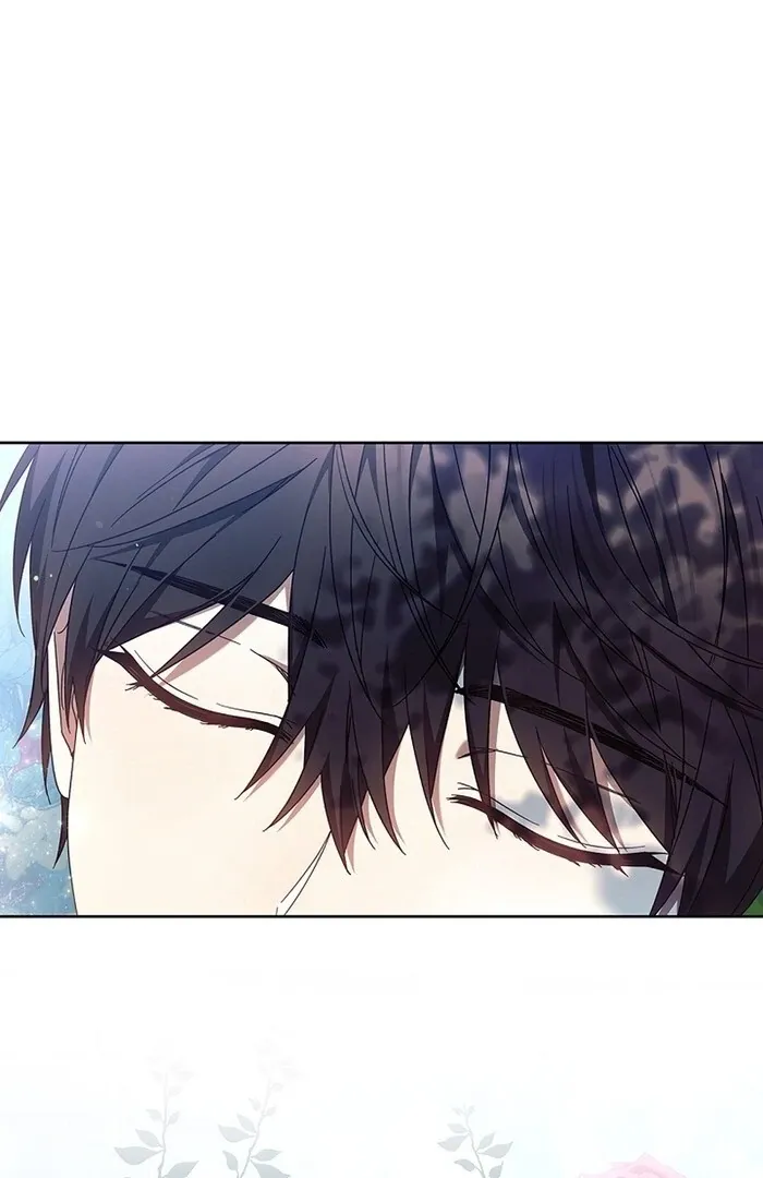 Read Mighty Macaron Wants To Be Meek Manga Online