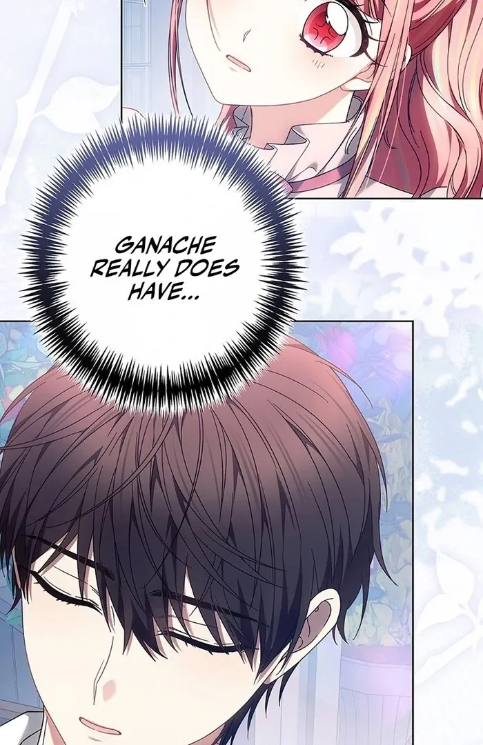 Read Mighty Macaron Wants To Be Meek Manga Online