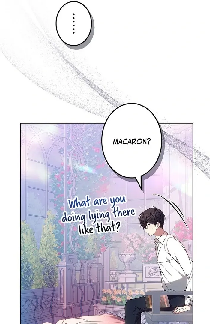 Read Mighty Macaron Wants To Be Meek Manga Online