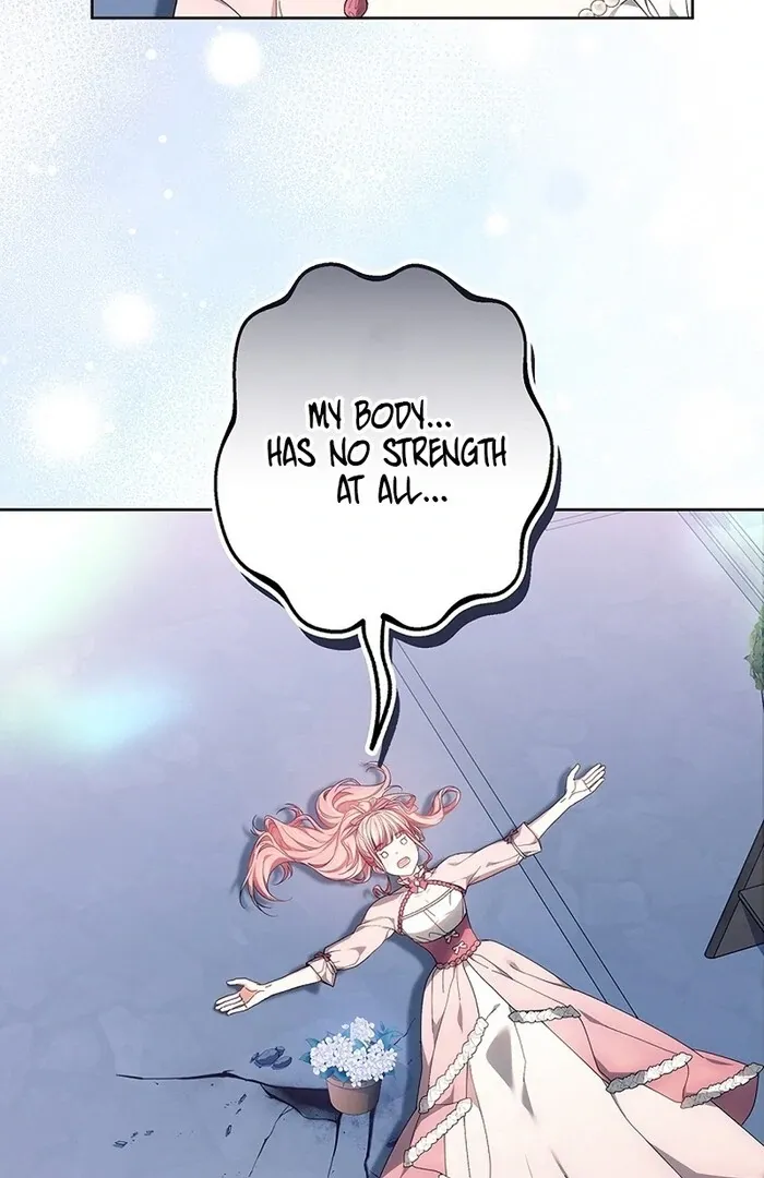 Read Mighty Macaron Wants To Be Meek Manga Online