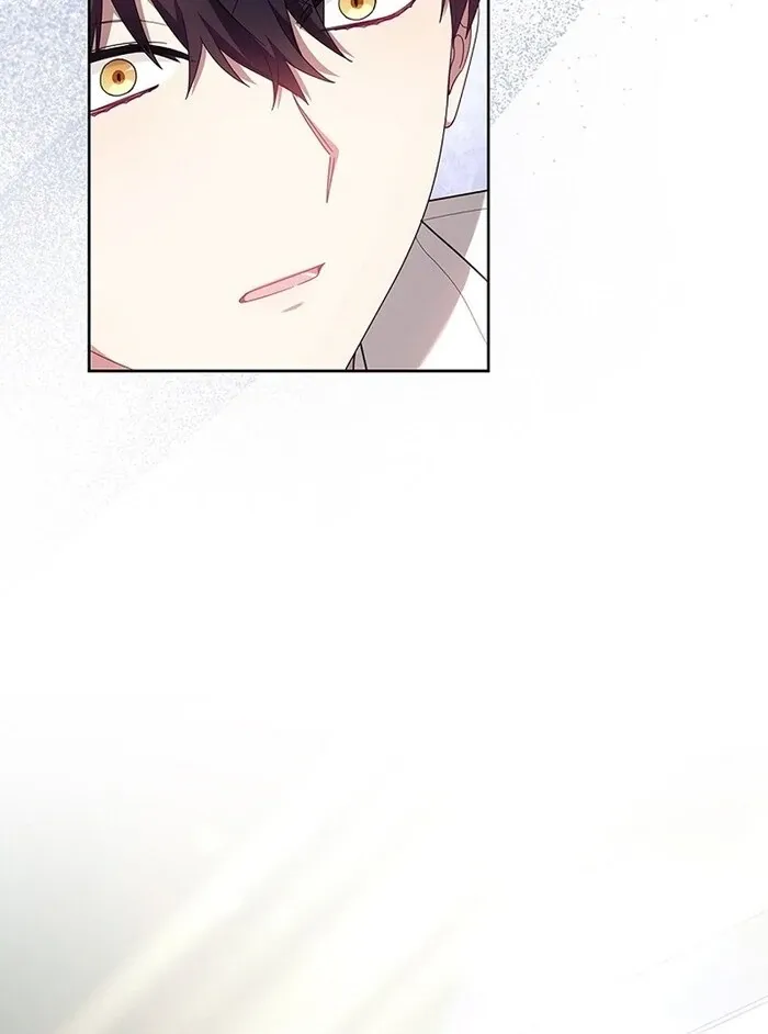 Read Mighty Macaron Wants To Be Meek Manga Online