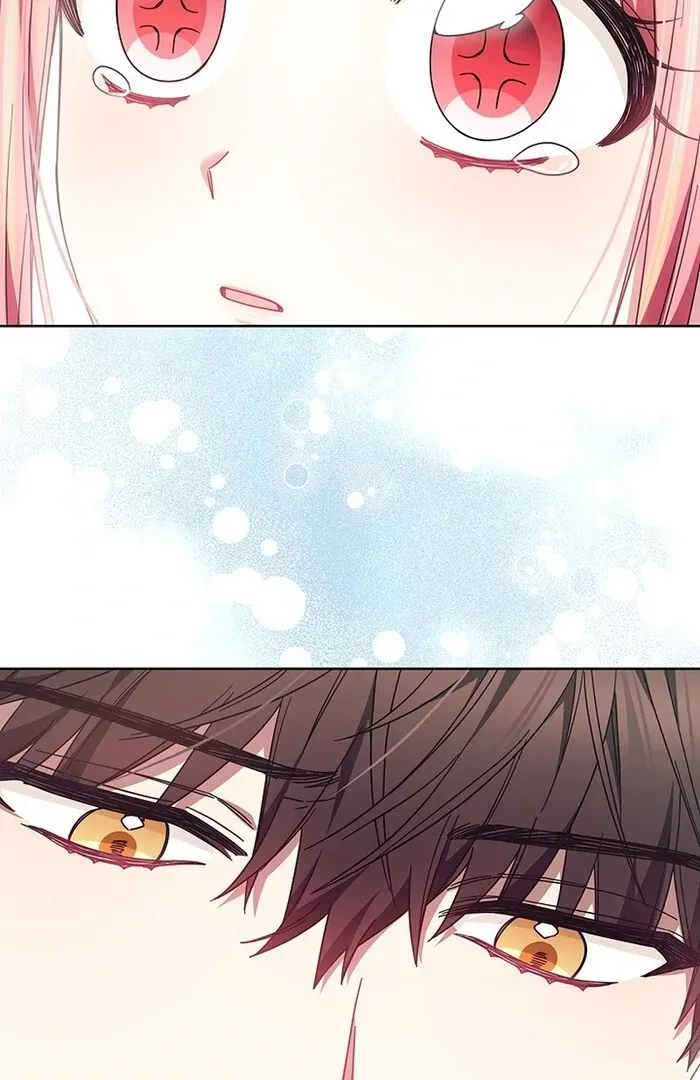 Read Mighty Macaron Wants To Be Meek Manga Online