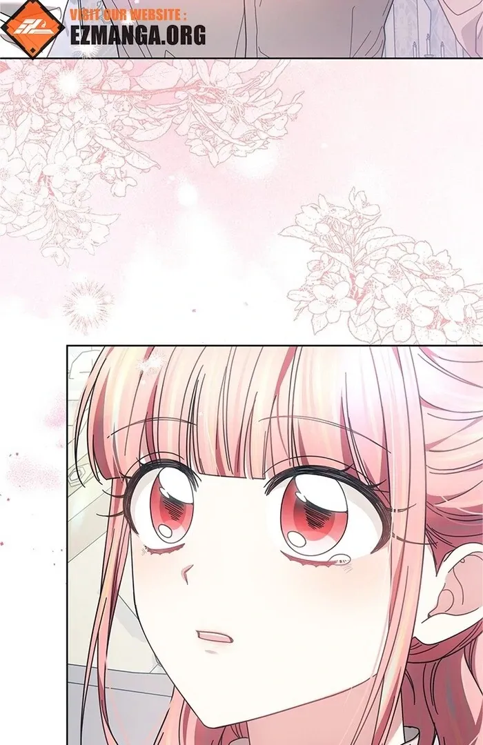 Read Mighty Macaron Wants To Be Meek Manga Online