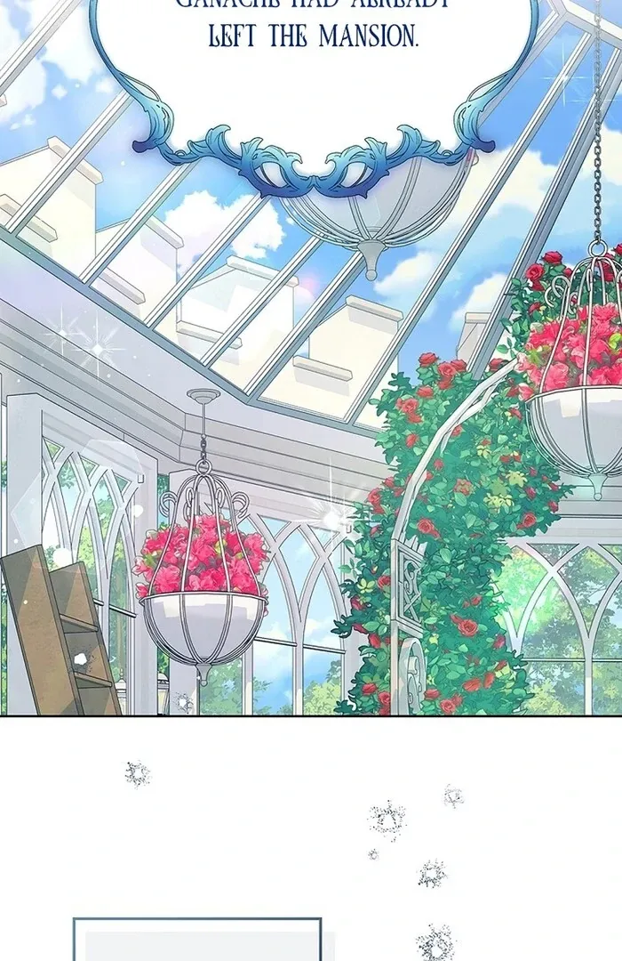 Read Mighty Macaron Wants To Be Meek Manga Online