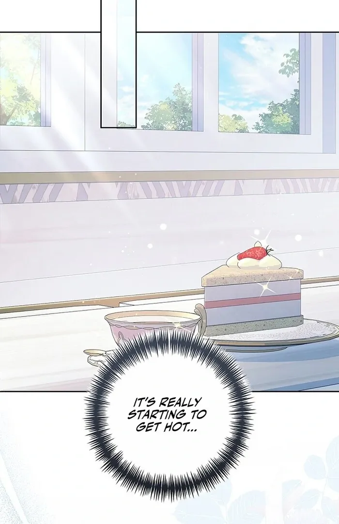 Read Mighty Macaron Wants To Be Meek Manga Online