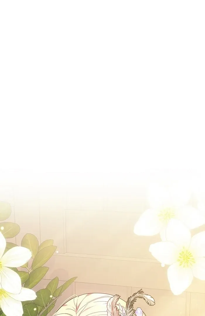 Read Mighty Macaron Wants To Be Meek Manga Online