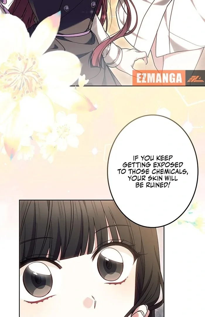 Read Mighty Macaron Wants To Be Meek Manga Online