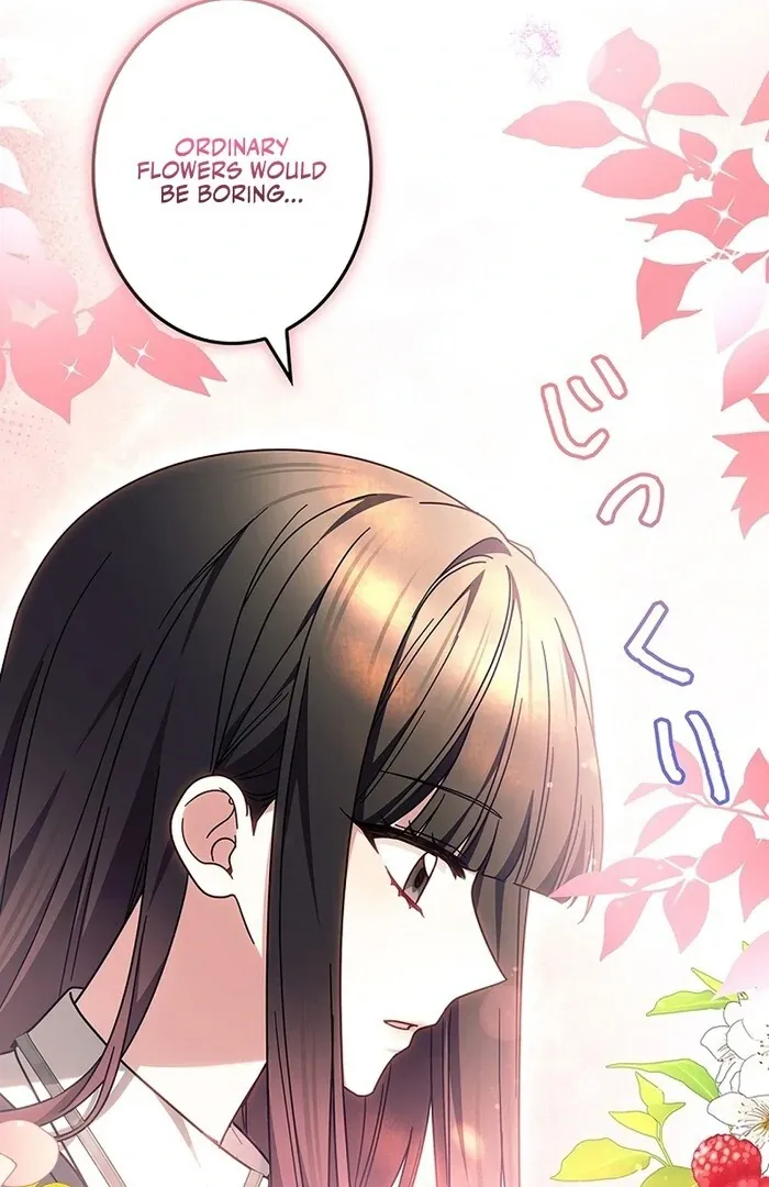 Read Mighty Macaron Wants To Be Meek Manga Online