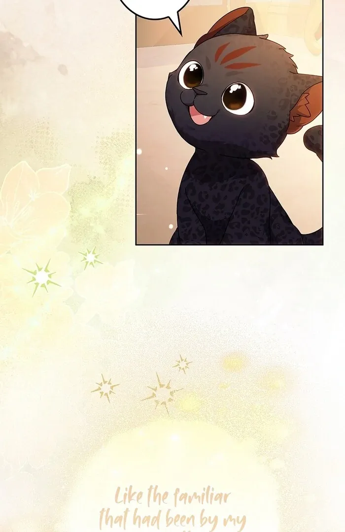 Read Mighty Macaron Wants To Be Meek Manga Online