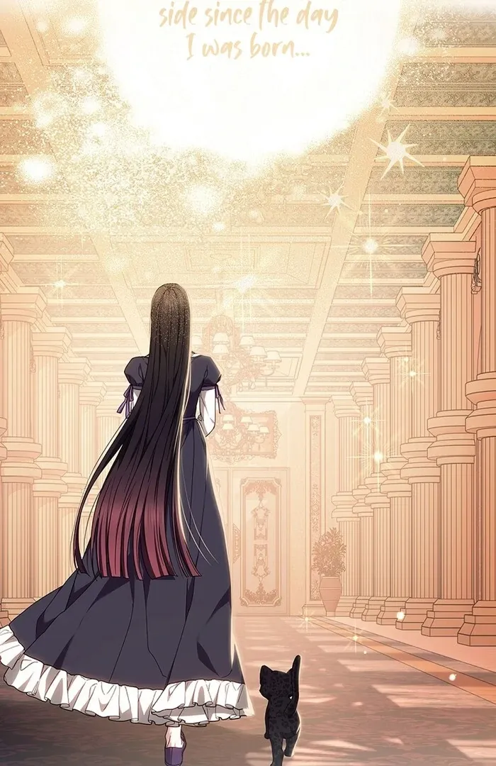 Read Mighty Macaron Wants To Be Meek Manga Online