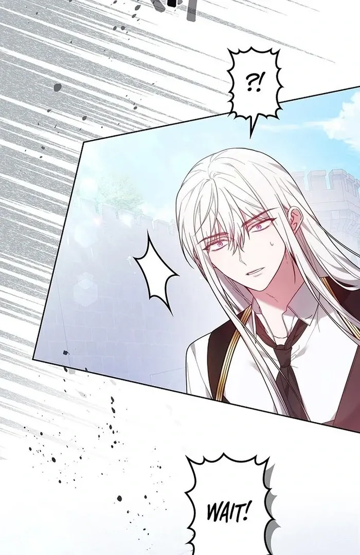 Read Mighty Macaron Wants To Be Meek Manga Online